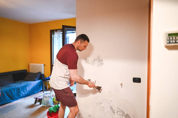 Best Residential Mold Remediation in Gamerco, NM